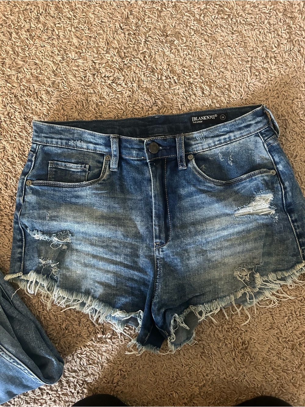 Blank NYC Frayed Light-Blue Distressed Denim Shorts